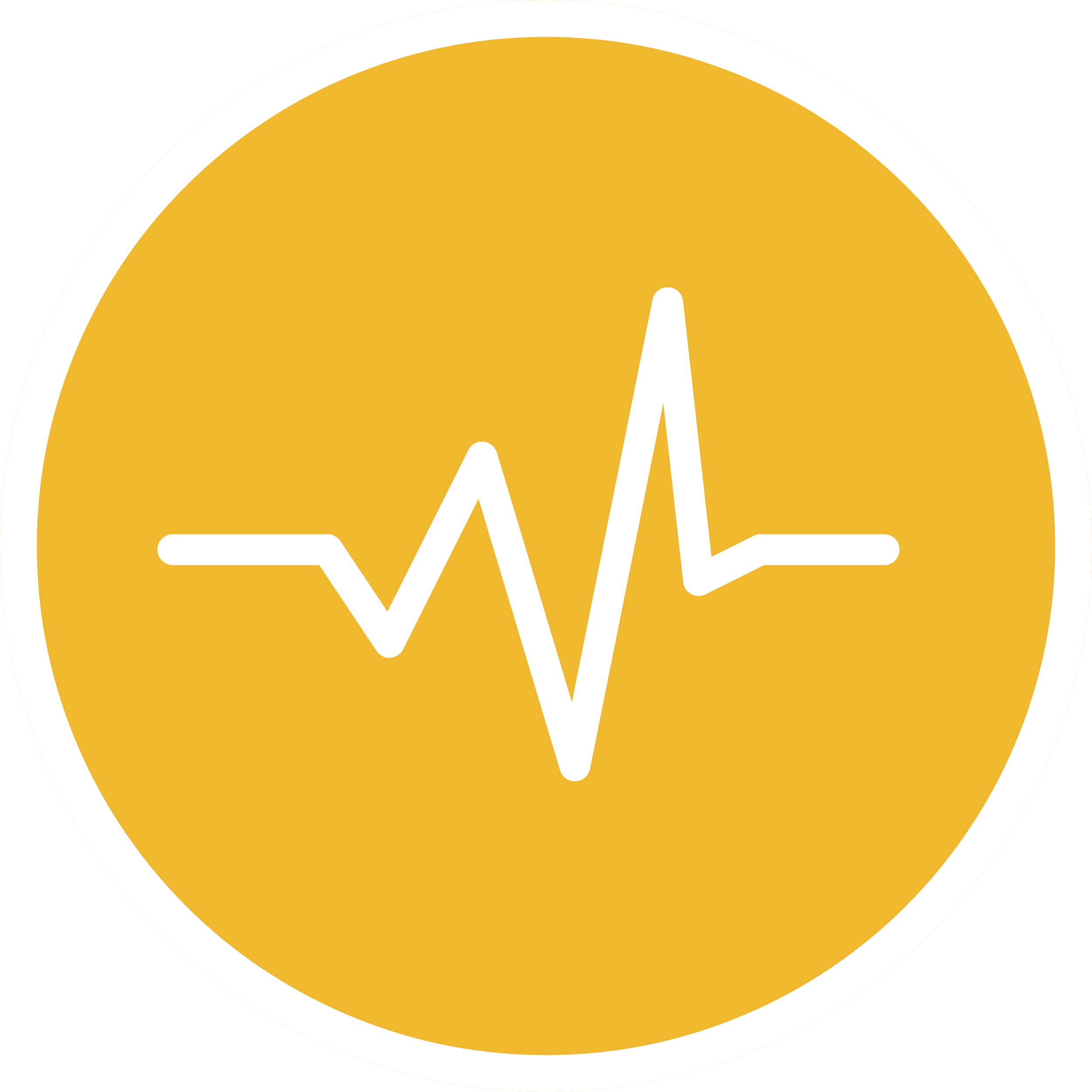 Ícone de Eletrocardiograma